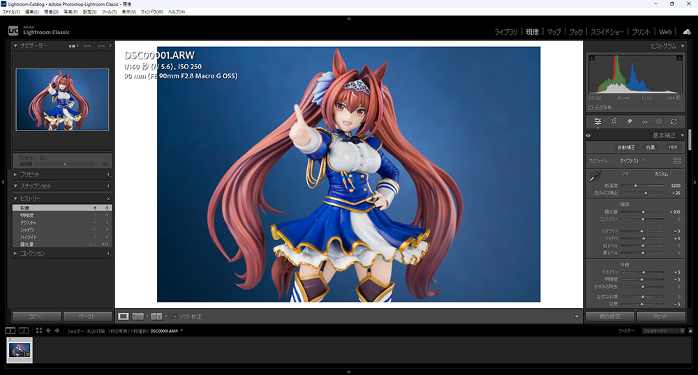 Lightroomでホコリや汚れを消す手順